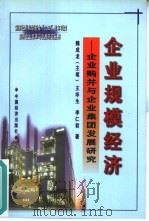 企业规模经济  企业购并与企业集团发展研究（1999 PDF版）