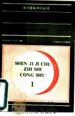 审计定义与职能（1989 PDF版）