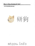 财政金融规划与政策 第2册 a -精选阅读材料 为何中国经济增长如迅速? PDF电子版封面 基金学院国际货币基金组织