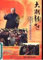 大潮新起  邓小平南巡前前后后（1992 PDF版）