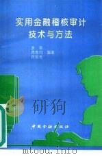 实用金融稽核审计技术与方法（1994 PDF版）