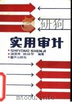 实用审计（1988 PDF版）