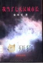 我当了七天汉城市长（1994 PDF版）