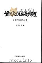 中国地区发展回顾与展望  宁夏回族自治区卷（1999 PDF版）