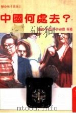 中国何处去？（1986.10 PDF版）