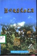 温州效益农业之路（1999 PDF版）
