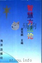 智慧方法论（1993 PDF版）