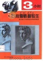 3小时石膏像素描写生（1999 PDF版）
