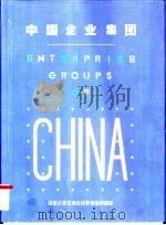 中国企业集团  图集（1996 PDF版）