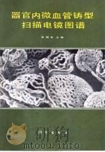 器官内微血管铸型扫描电镜图谱 1988 PDF电子版封面 7030003217 张朝佑主编