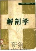 解剖学（1982 PDF版）