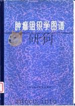 肿瘤组织学图谱（1981 PDF版）