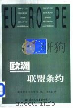 欧洲联盟条约（1999 PDF版）