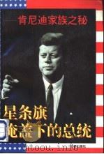 星条旗掩盖下的总统（1996 PDF版）
