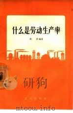 什么是劳动生产率（1956 PDF版）