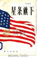 星条旗下  一个中国人眼中的美国（1994 PDF版）