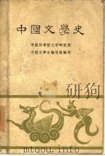 中国现代文学史讲义（1962 PDF版）