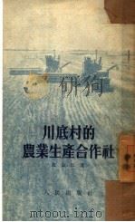 川底村的农业生产合作社（1952 PDF版）