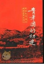 青年团的初建（1987 PDF版）