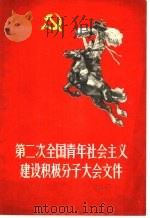 第二次全国青年社会主义建设积极分子大会文件（1958 PDF版）