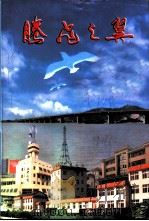 扬中文史资料 第9辑 科技·教育·文化专辑 腾飞之翼 1996 PDF电子版封面 中国人民政治协商会议扬中市委员会文史资料委员会
