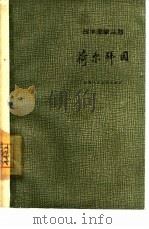 荷尔拜因（1964 PDF版）