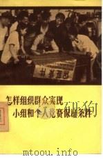 怎样组织群众实现小组和个人竞赛保证条件 1956 PDF电子版封面 3007·46 王伯泉编著