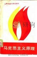 马克思主义原理 1989 PDF电子版封面 7313005237 朱奎保,范竹增等主编