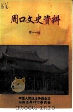 周口文史资料  第11辑（1997 PDF版）