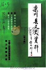 栾川文史资料 第10辑 1999 PDF电子版封面 中国人民政治协商会议河南省栾川县委员会编
