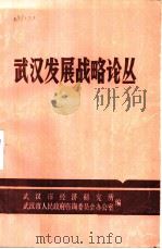 武汉发展战略论丛（ PDF版）
