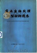 废水生物处理微型动物图志（1976 PDF版）