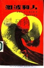激波和人（1984 PDF版）