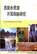 西南水资源开发战略研究（1991 PDF版）