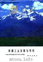 新疆资源开发综合考察报告集  新疆工业发展与布局（1989 PDF版）