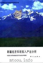 新疆资源开发综合考察报告集  新疆经济系统投入产出分析（1989 PDF版）