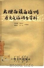 大理白族自治州历史文物调查资料（1958 PDF版）