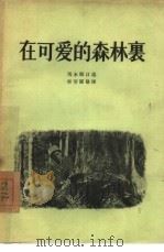 在可爱的森林里（1955 PDF版）