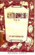 怎样选留种公畜（1956 PDF版）