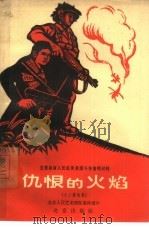 仇恨的火焰  十二场话剧（1965 PDF版）