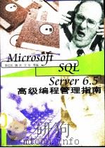 Microsoft SQL Server（ PDF版）