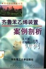 齐鲁苯乙烯装置案例剖析（1999 PDF版）