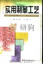 实用制革工艺（1999 PDF版）