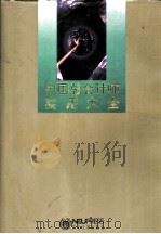 中国总会计师实用大全（1994 PDF版）