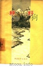 种籽（1956 PDF版）