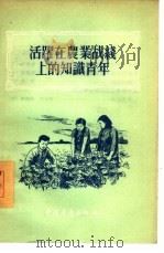 活跃在农业战线上的知识青年（1955 PDF版）