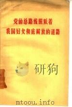 党的总路线照耀着我国妇女彻底解放的道路（1960 PDF版）