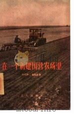 在一个新建国营农场里（1956 PDF版）