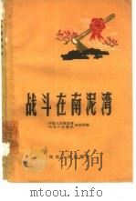 战斗在南泥湾  革命回忆录（1962 PDF版）