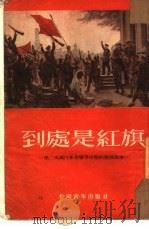 到处是红旗 第二次国内革命战争时期的几个故事 1953 PDF电子版封面 中国青年出版社编辑